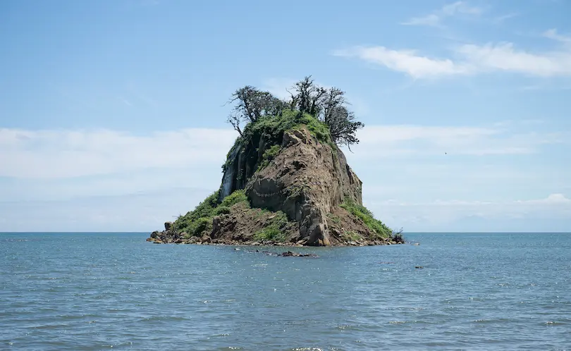 再生後の斜面のイメージ